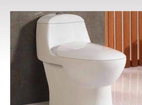 十年衛(wèi)浴銷售專家揭秘 選對馬桶，潔凈廁所長久無憂