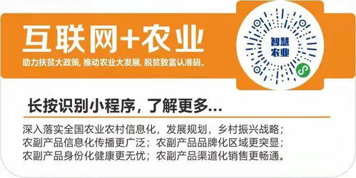 數(shù)字翅膀助農(nóng)飛，互聯(lián)網(wǎng)+農(nóng)業(yè)打通鄉(xiāng)村振興新銷路